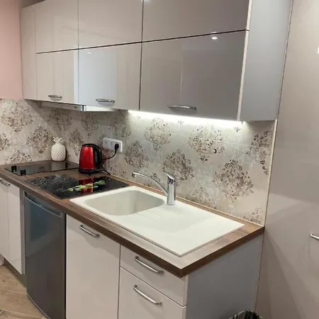 Super Avec Piscine A 60 M De La דירה ניס